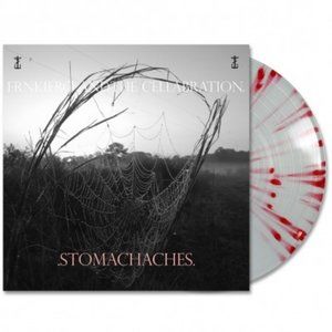 (ISO) Frank Iero Stomachaches Vinyl (DONT BUY LISTING)
